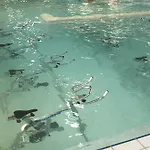 Hotel Valdys Thalasso & - Les Pins 4*