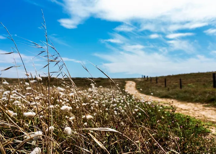 Hotel Valdys Thalasso&spa - Les Pins 4*